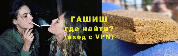 стаф Богданович