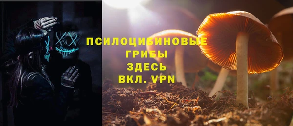 стаф Богданович