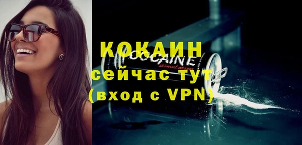 стаф Богданович