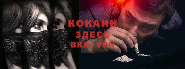 стаф Богданович