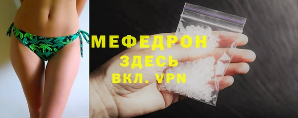 стаф Богданович