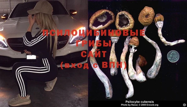 PSILOCYBIN Богородск