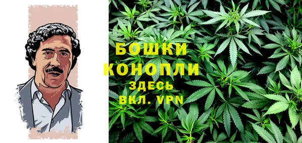 PSILOCYBIN Богородск