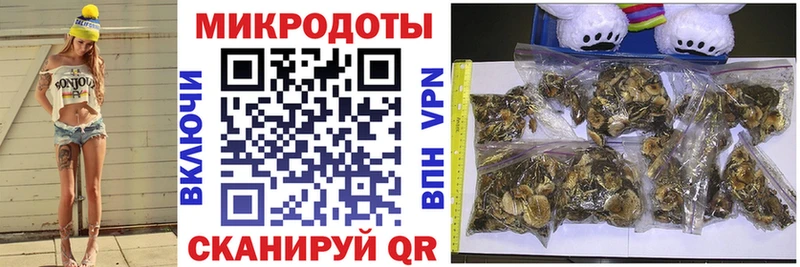 hydra   Мензелинск  Псилоцибиновые грибы Psilocybe 